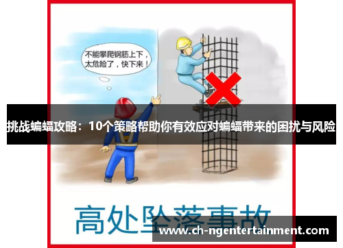 挑战蝙蝠攻略：10个策略帮助你有效应对蝙蝠带来的困扰与风险