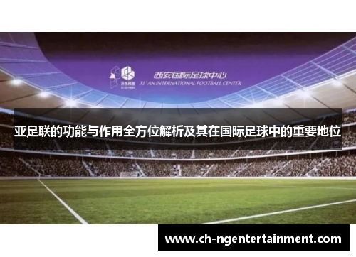 亚足联的功能与作用全方位解析及其在国际足球中的重要地位