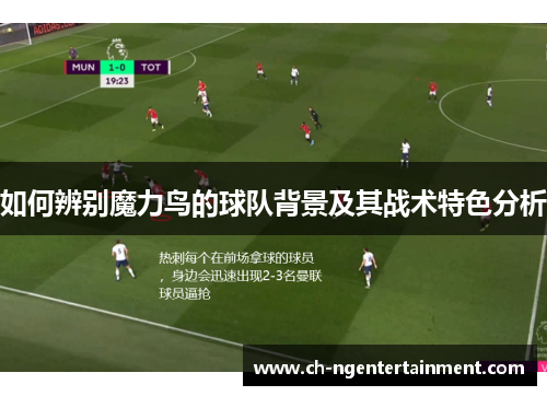 如何辨别魔力鸟的球队背景及其战术特色分析