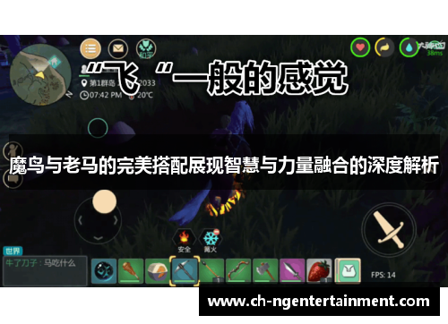魔鸟与老马的完美搭配展现智慧与力量融合的深度解析