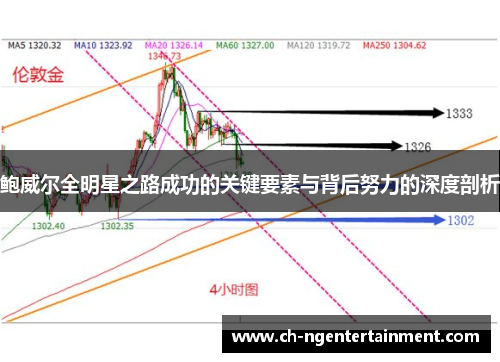 鲍威尔全明星之路成功的关键要素与背后努力的深度剖析