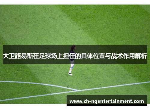 大卫路易斯在足球场上担任的具体位置与战术作用解析