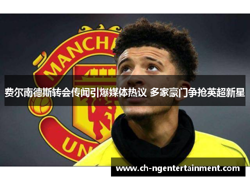 费尔南德斯转会传闻引爆媒体热议 多家豪门争抢英超新星 费尔南德斯转会传闻引爆媒体热议 多家豪门争抢英超新星